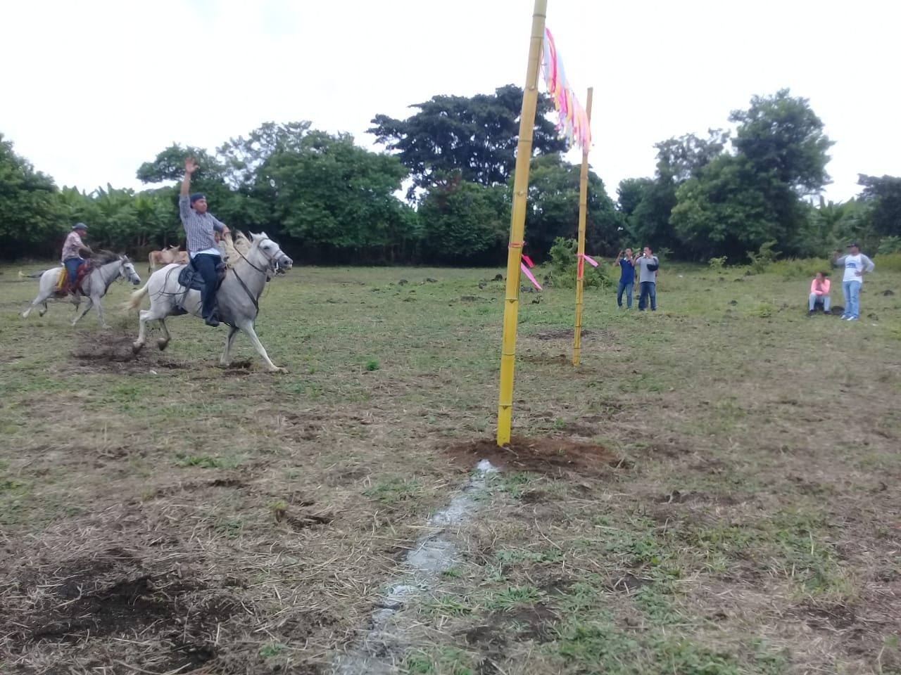 actividades